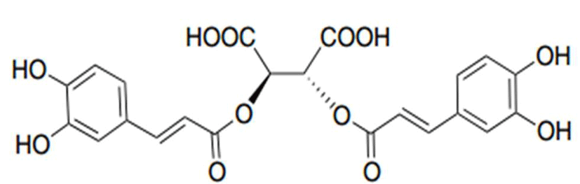 jmsb-35-1-1-g2